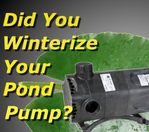 Pond Pump Winterizing