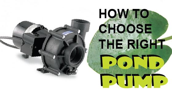 Choosing right pond pump