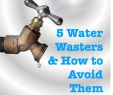 5 Water wasters and how to avoid them