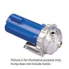 Goulds NPE-F Series Centrifugal Pumps