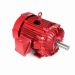 254TTFPA14014_Fire Pump Motor