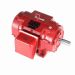 256TTDBD4008_Fire Pump Motor