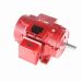 286TTDBD4035_Fire Pump Motor