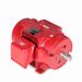 326TSTDCD4022_Fire Pump Motor