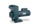 Sta-Rite DHG, High Head Centrifugal Pump, D Series, 115/230 Volts and 208-230/460 Volts, 1 & 3 Phase, 1-1/2", 2", 2-1/2", 3" NPT Flanged Suction Size, 25 Ft. Max. Lift, Cast Iron