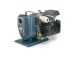 Sta-Rite EEDD, Engine-Driven Self-Priming Pump, 2" NPT (Suction and Discharge), Cast Iron With Ext. Shaft