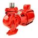 Armstrong Cast Iron In-Line Pump	