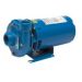 Goulds 2BF10512, Centrifugal Pump, Series 3642, 1/2 HP, 115/230 Volts, 1 Phase, 1-1/4" NPT Discharge, 3500 RPM, Bronze Fitted