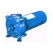 Goulds Multi-Stage Centrifugal Pump
