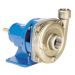 Goulds Frame Mounted Centrifugal Pump End Only
