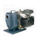 Berkeley EDDH, Engine-Driven Self-Priming Pump Without Stub Shaft, Frame Mounted On Steel Base, (2" Suction and Discharge), 3 HP