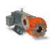 Berkeley B54487S, Model B1WPS, Close-Coupled Centrifugal Pump, B Series, 5 HP, 230 Volts, 1 Phase, 3600 RPM, 1" NPT Discharge, Silicon Bronze Impeller, Mechanical Seal