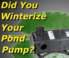 The Pump Products Guide to Pond Pump Winter Care