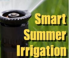The Pump Products Guide to Smart Summer Irrigation