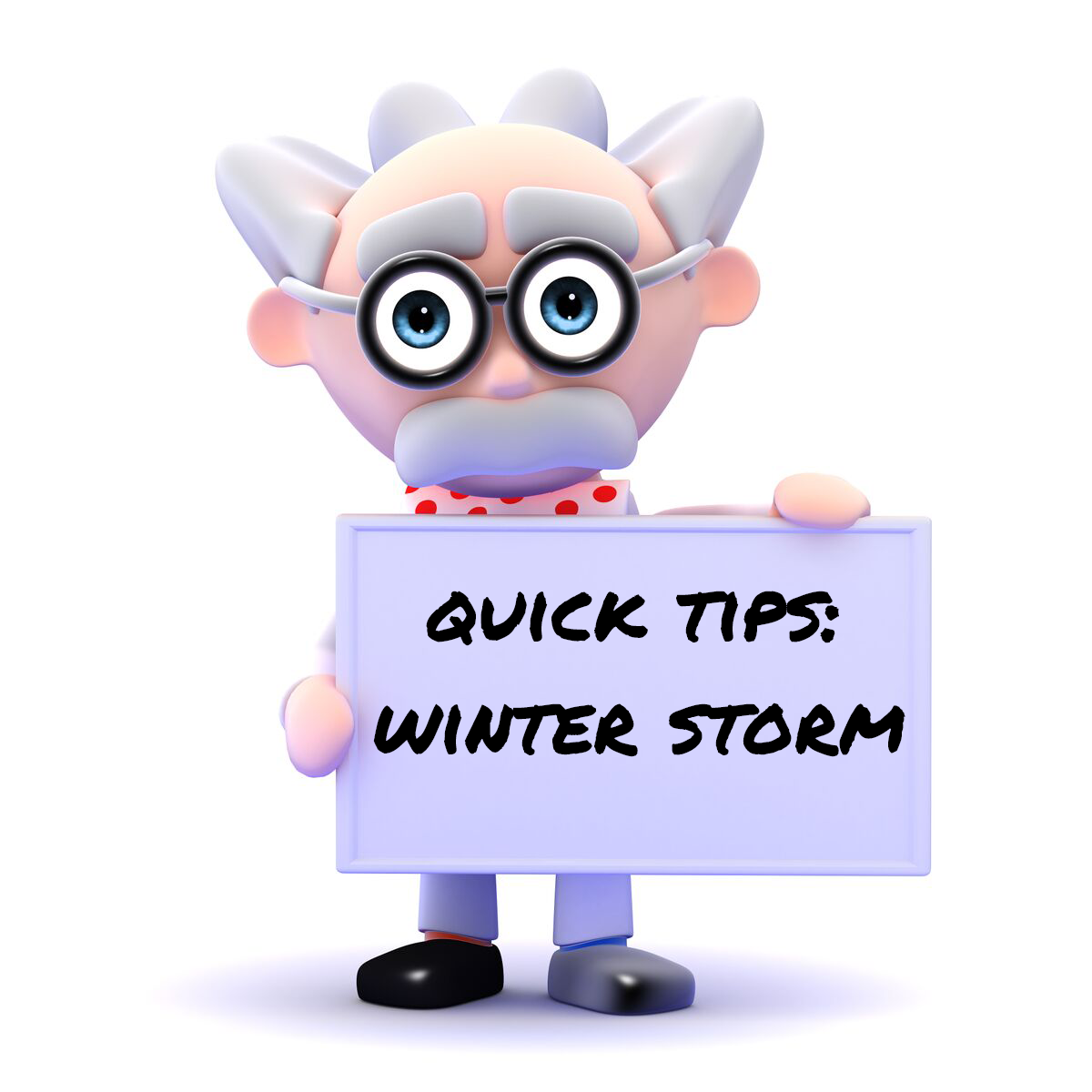 Inspector Pumphead’s Quick Tips: How Will a Winter Storm Effect My Pump?