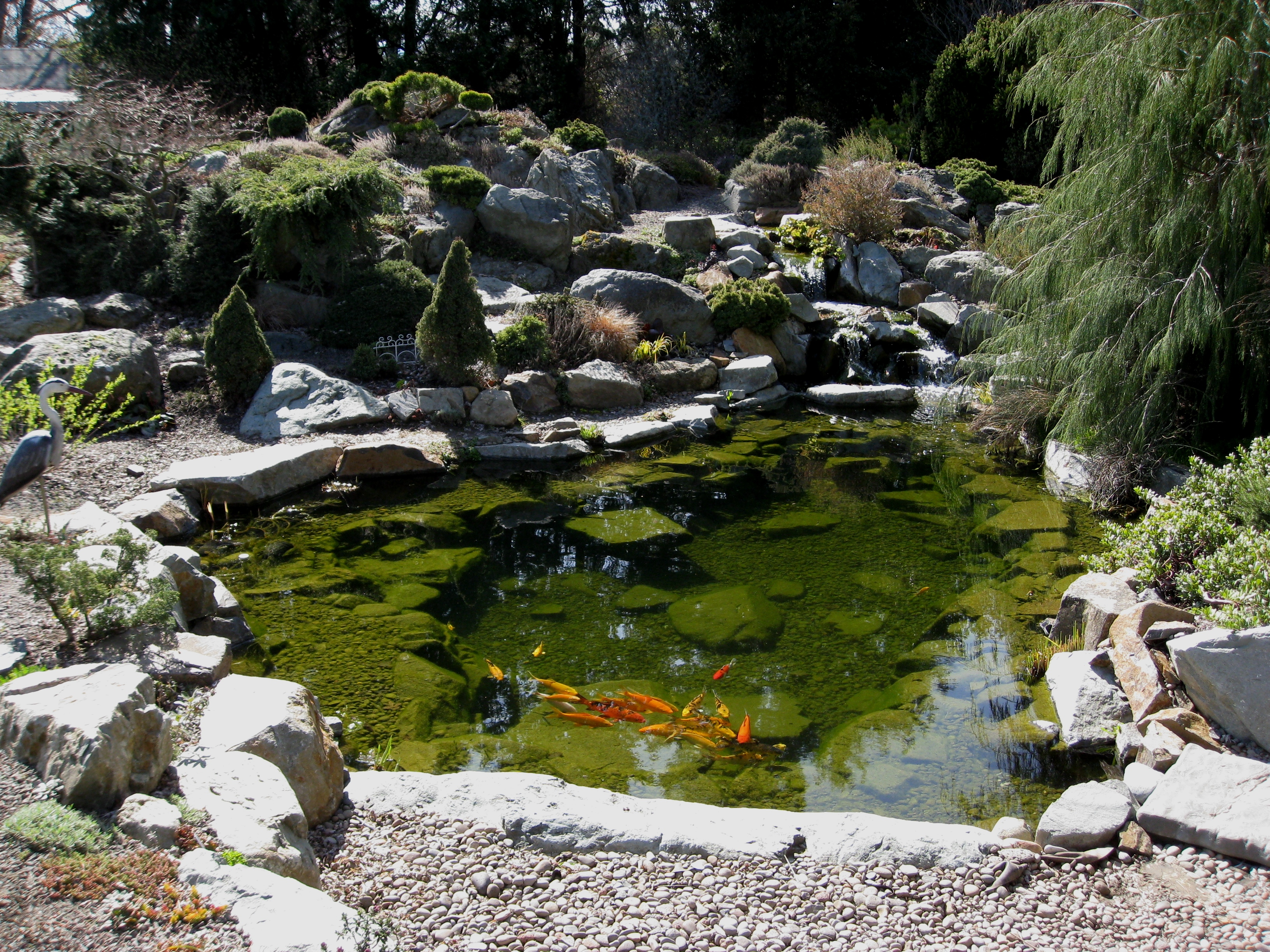 should i turn my pond pump off for winter? Image 1