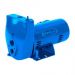 BERKELEY PUMPS BERKELEY