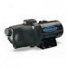 BERKELEY PUMPS BERKELEY PN